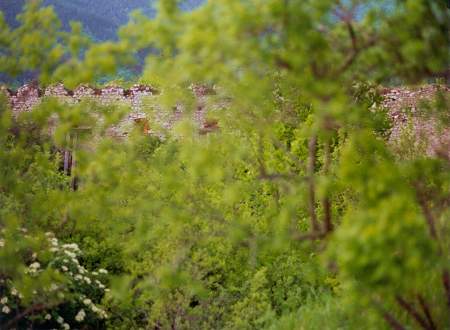 Rampart Wall Hidden by Trees