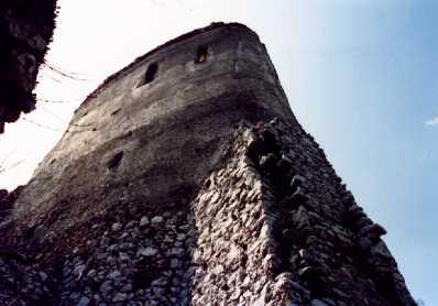 The Tower (1)