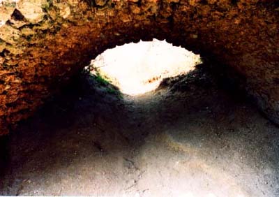 Low Tunnel I