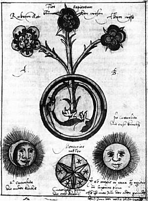 the compass of the countess