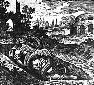 the companion serpent