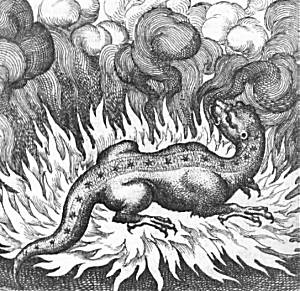the serpent of fire